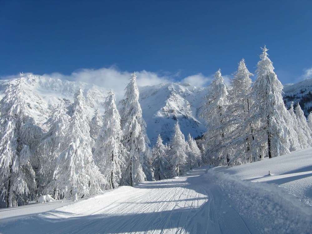 Wintersport piste met witte bomen en sneeuw