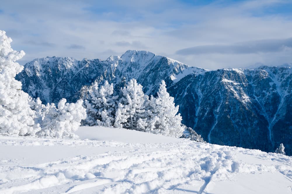 Prachtige besneeuwde bomen in Chamrousse in Frankrijk