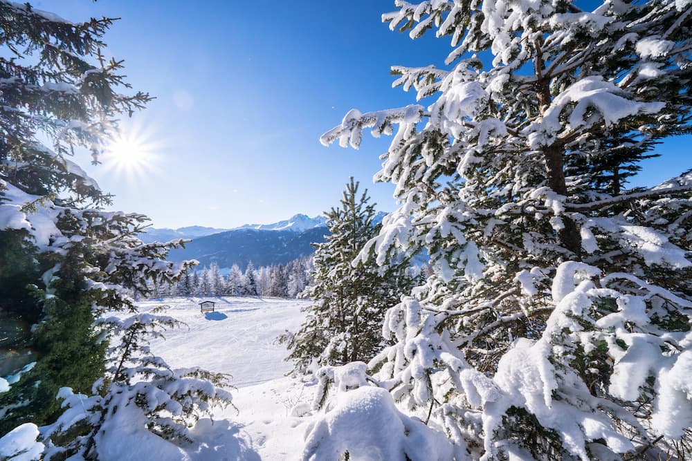 Wintersport in Seefeld in Oostenrijk: bomen en zon