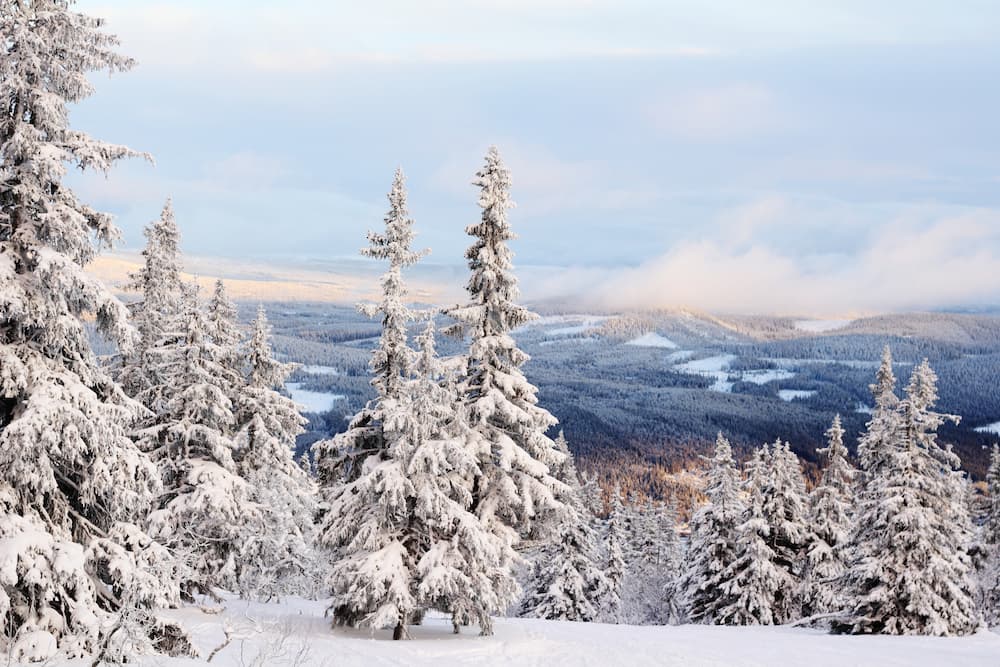 Trysil Noorwegen met besneeuwde bomen en uitzicht