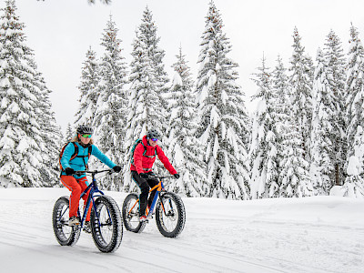wintersport fatbike