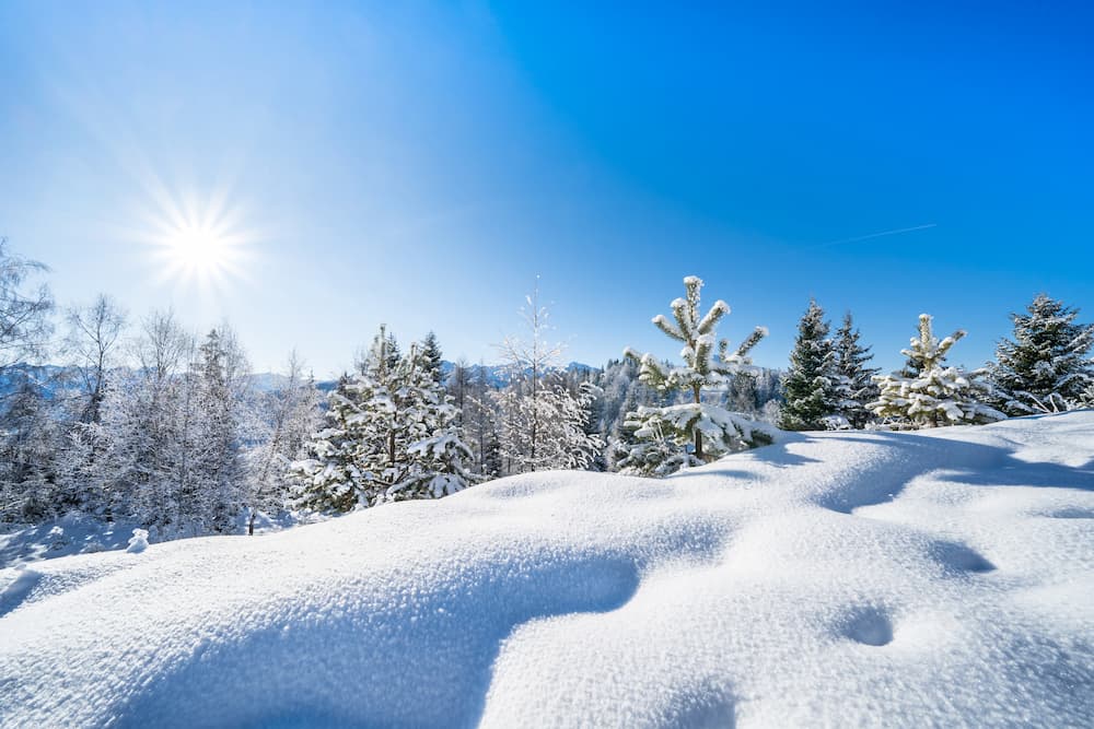Wintersport met verse sneeuw en bomen